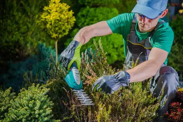 landscaping services Commack
